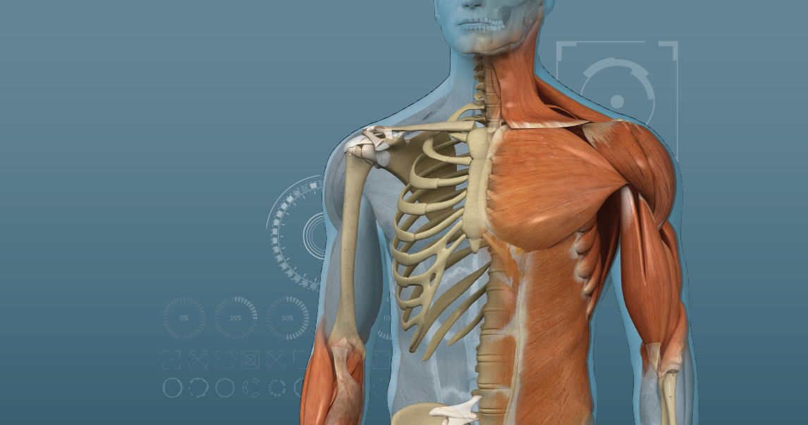 Picture for category Musculoskeletal